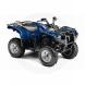 2010 Grizzly 550 FI Auto. 4x4 EPS