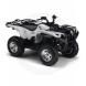 2010 Grizzly 700 FI EPS SE