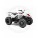 2010 Wolverine 450 Auto 4x4