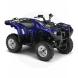 2010 Grizzly 550 FI EPS
