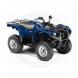 2010 Grizzly 700 FI Auto. 4X4