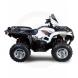 2010 Grizzly 700 FI EPS LE
