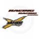 SKI-DOO X-TEAM DECAL