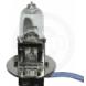 REPLACEMENT BULBS (Sports Parts Inc.)