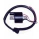 IGNITION COILS (Emgo)