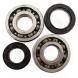 CRANK BEARING KITS (All Balls)