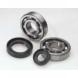 CRANK BEARING KITS (ALL BALLS) (All Balls)