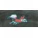 SWAMP FOX ALL SEASON (AMS)