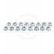 10MM FLAT SILVER LUGNUTS (AMS)