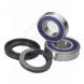 ALL BALLS FRONT WHEEL BEARING KIT (All Balls)