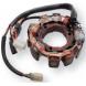 STATOR & PICK UP COIL (Snowpak)