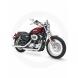 2010 Sportster® 1200 Low