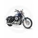 2010 Sportster® 1200 Custom