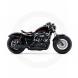 2010 SPORTSTER® FORTY-EIGHT™