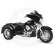 2010 Street Glide® Trike