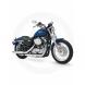 2010 Sporster® 883 Low