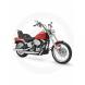 2010 Softail® Custom