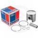 SNOWMOBILE PISTONS (Parts Unlimited)