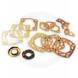 COMPLETE GASKET KIT WITH SEALS (Cometic)