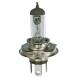 HALOGEN BULBS (Eiko)