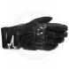 POLAR GORE-TEX® GLOVES (Alpinestars)
