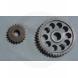 STANDARD GEARS (Team)