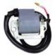 HOTSHOT SERIES IGNITION COILS (RICK'S MOTORSPORT ELECTRICAL INC.)