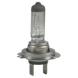 H-7 BULBS (Other)