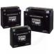 YUASA BATTERIES FOR ATV (YUASA)