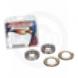 STEERING BEARING & SEAL KIT (All Balls)