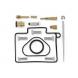 Carburetor Repair Kit