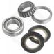 STEERING STEM BEARING KITS FOR SHERCO (Moose Racing)