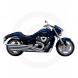 2010 Boulevard M109R