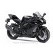 2010 Ninja® ZX™ - 10R Motorcycle