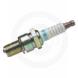 NGK SPARK PLUGS (Can-Am)