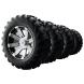 BUCKSHOT RIMS WITH VISION TRAILFINDER™ TIRES (Pure Polaris)