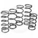 HS ALLOY CLUTCH SPRINGS - PRIMARY SPRINGS (Speedwerx)