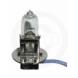 REPLACEMENT BULBS (Sports Parts Inc.)