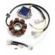 STATOR KIT