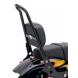 ONE-PIECE DETACHABLE PASSENGER SISSY BAR UPRIGHT (Harley-Davidson®)
