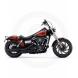 COLOR SHOP LIMITED SERIES - TRUST ME (Harley-Davidson®)