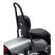ONE-PIECE DETACHABLE PASSENGER SISSY BAR UPRIGHT