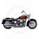 COLOR SHOP LIMITED SERIES - PUNISHMENT (Harley-Davidson®)