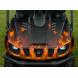RHINO CUSTOM PAINT BODY KIT