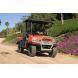 2010 RTV900 Worksite UTV