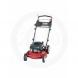 2010 RP2160KWV Mulching Walk-Behind Mowers