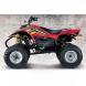 2005 Trail Blazer 250