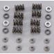 COMPETITION DUAL VALVE SPRING SET (Star Motorcycles)