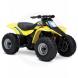 2006 QUADSPORT® 80