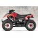2006 Predator 50